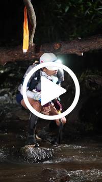 BIB:  <button type="button" onclick="openModal(27593447)" class="btn btn-primary btn-sm float-right" data-toggle="modal" data-target=".modal-high-quality">
                <i class="fa fa-download"></i> Download
                </button>